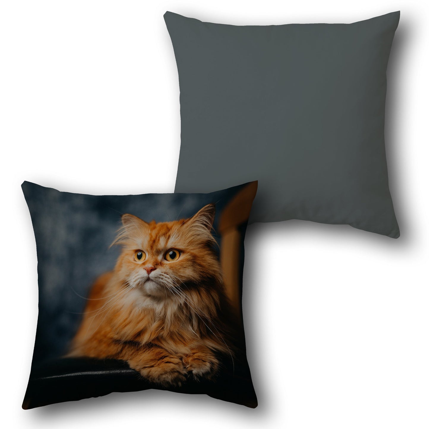 Ginger Cat    Design Cushion Single (Front & Back)