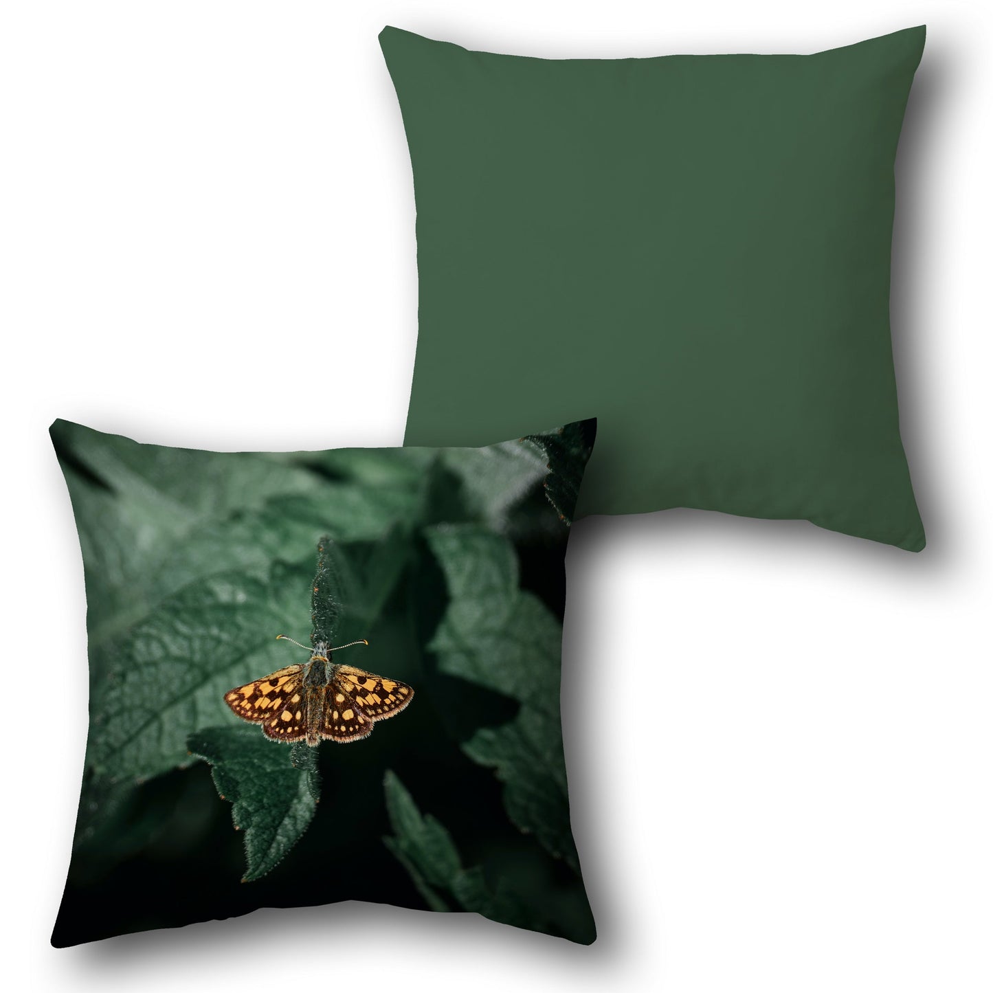 Butterfly Haven   Design Cushion Single (Front & Back)
