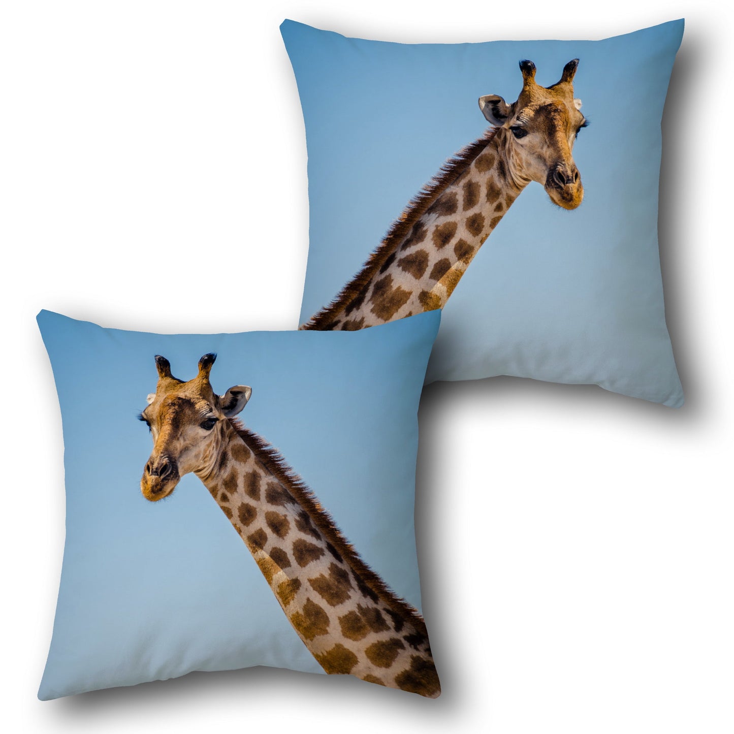 Giraffe Sky   Design Cushion Single (Front & Back)