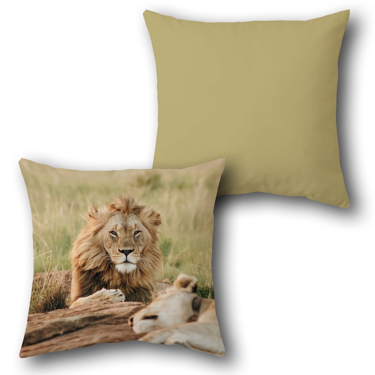 Lion Pride   Design Cushion Single (Front & Back)