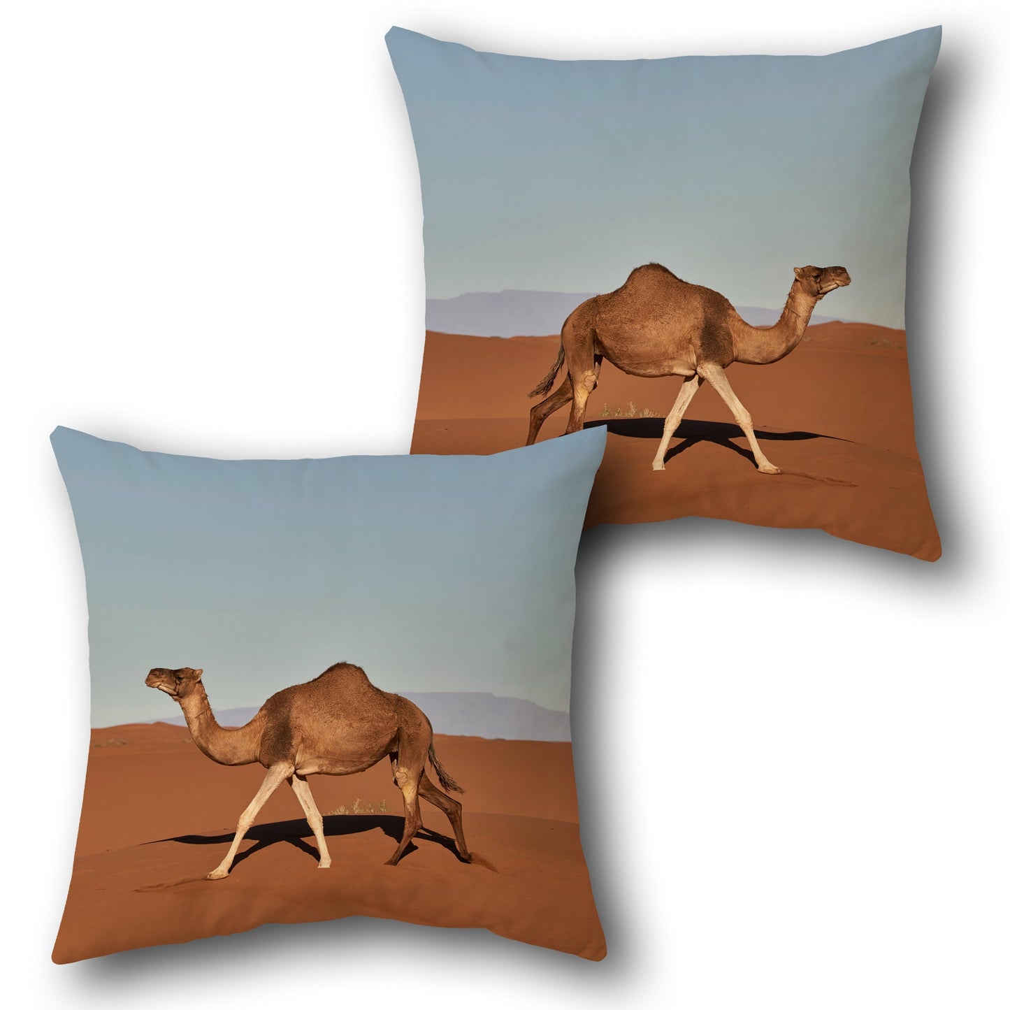 Desert Camel   Design Cushion Single (Front & Back)